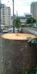 20100619163104.jpg