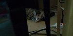 20100926115342.jpg