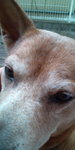 20110225124121.jpg