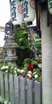 20110430135000.jpg